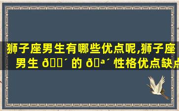 狮子座男生有哪些优点呢,狮子座男生 🌴 的 🪴 性格优点缺点有哪些